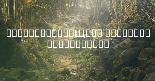 ���������Ҫ��Щ֤�� �ƻ�����������������